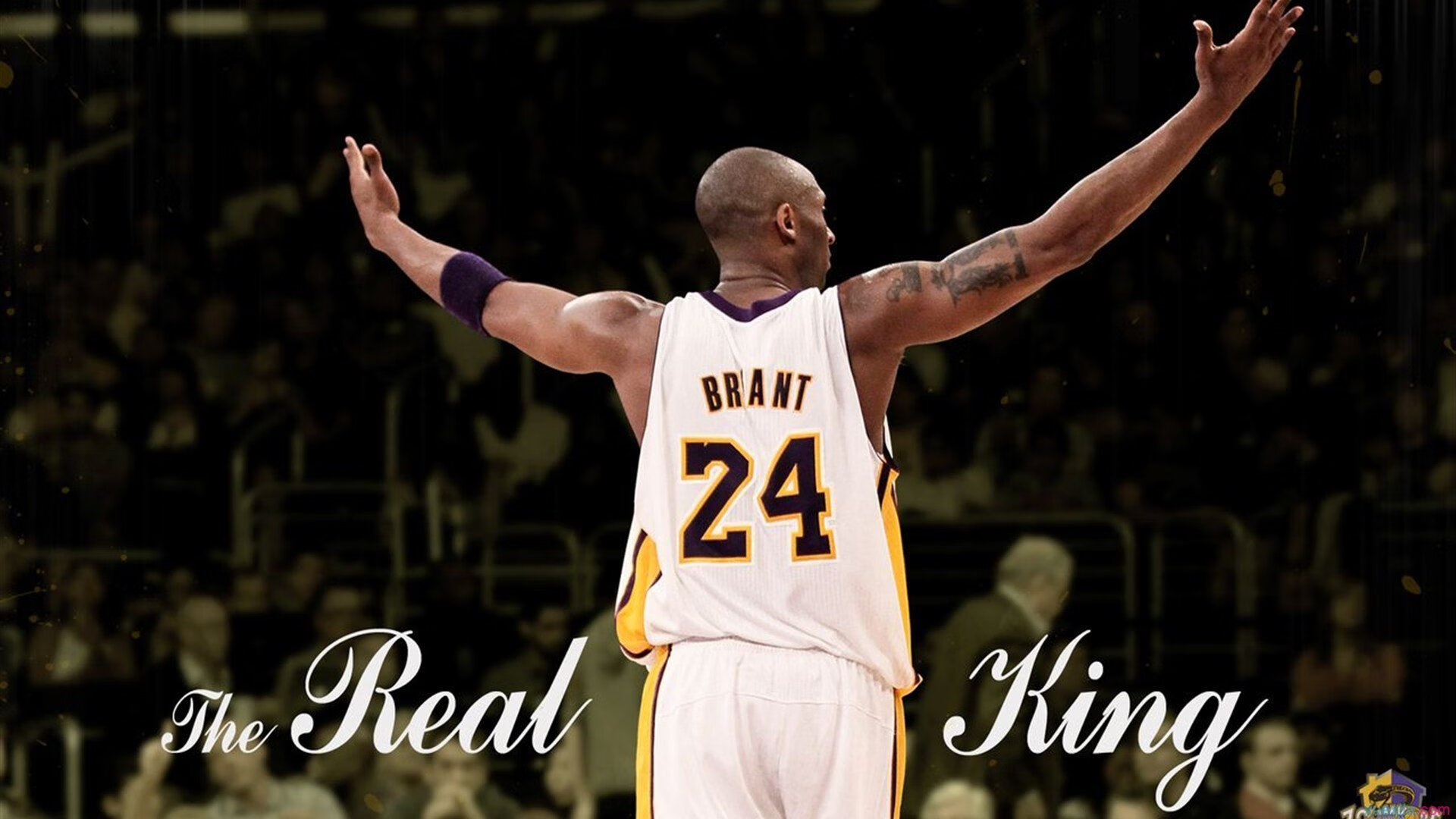 Kering-《ApexLegends》“极夜突袭”地图上线，战局百变！